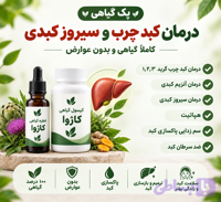 پک کبد چرب
