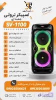 اسپیکر پارتی باکس ساووی مدل SV-1100
