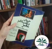 جهان شگفت انگیز مغز