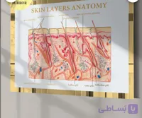 دوره آموزشی آنلاین تجویز هومکر پیشرفته