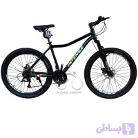 دوچرخه کوهستان اینتنس Intense مدل Champion CD400 سایز 29 دیسکی