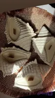 شمع شات صدف