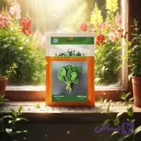 بذر بیبی اسفناج خانگی دانل سید |مشخصات وخرید