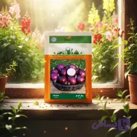 بذر پیاز قرمز خانگی دانل سید| مشخصات و خرید