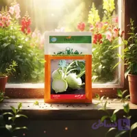 بذر کلم قمری خانگی دانل سید |مشخصات وخرید