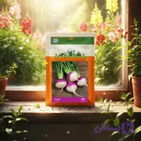 بذر شلغم خانگی دانل سید |مشخصات و خرید