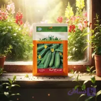 بذر خیار بت الفا امریکا خانگی دانل سید|مشخصات وخرید