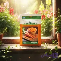 بذر هویج استاندارد خانگی دانل سید |مشخصات وخرید
