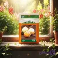 بذر پیاز زرد خانگی دانل سید| مشخصات و خرید
