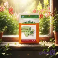 بذر خیار چنبر خانگی دانل سید |مشخصات وخرید