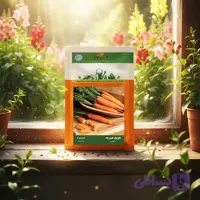 بذر هویج هیبرید خانگی دانل سید |مشخصات وخرید