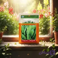 بذر شاهی برگ پهن خانگی دانل سید| مشخصات و خرید