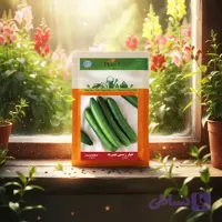 بذر خیار رسمی هیبرید خانگی دانل سید |مشخصات وخرید
