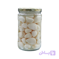 سیر صدفی بی بو