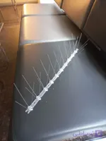 پرنده پران ۵۰ سانتی