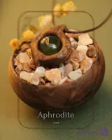 گردنبند سنگ یشم و چوب گردو (طرح پرواز)