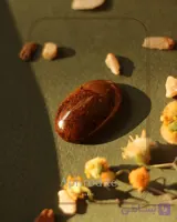 نگین سنگ عقیق (شجر پاییزی)