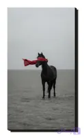 تابلو شاسی اسب سیاه