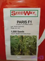 بذر خیار گلخانه هیبرید پاریس f1