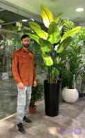درختچه مصنوعی پرنده بهشتی برگ پهن