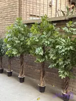 درختچه مصنوعی اقاقیا حرحر جنگلی