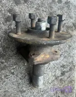 توپی پیکانی