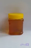 عسل گون اویشن ۵۰۰ گرمی