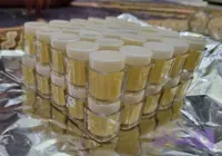 ژل رویال ایرانی(۱۰۰۰گرمی)۱کیلویی در وزن های ۱۰ گرم به بالا