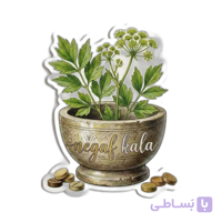قرص کاشم طیطه