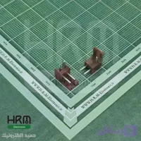 کانکتور آیفونی 2 پین نر رایت (JAE)