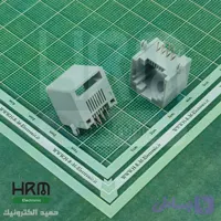 سوکت شبکه مادگی RJ45 رایت 8پین پلاستیکی (طوسی)