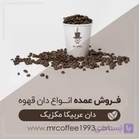 عمده دان قهوه مکزیک (عربیکا)