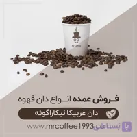 عمده دان قهوه نیکاراگوئه (عربیکا)