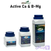 آیش اکتیو کلسیم