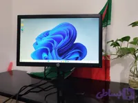 HP P202 (HP ProDisplay P202)