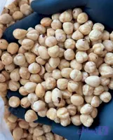 مغز فندق