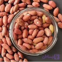 بادام زمینی
