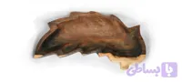 میوه خوری برگ خم قطر 7 کهن پیکره