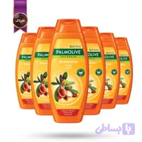 6 عدد شامپو پالمولیو Palmolive مدل ترمیم‌کننده Repair حجم 380 میلی‌لیتر (اورجینال)