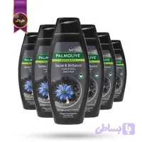 6 عدد شامپو پالمولیو Palmolive مدل سلامت و درخشندگی health & shine حجم 380 میلی‌لیتر (اورجینال)