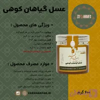 عسل گیاهان کوهی کرمانشاه ۶۰۰ گرمی