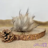 پوم پوم گرگی p7