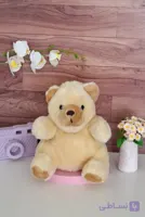 عروسک خرس پولیشی خز سوزنی مارک Daan Dee