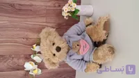 عروسک خرس خارجی مارک Ross