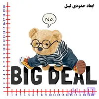 استیکر پارچه و لباس DTF مدل big deal