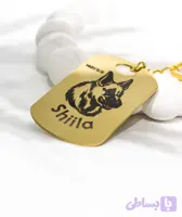 پلاک بیضی مدل shilla