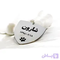 پلاک شارون