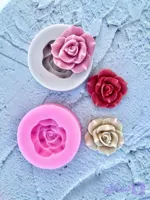 غنچه رز نیم باز