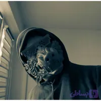 ماسک سه بعدی گرگ