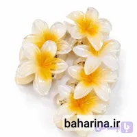 کلیپس مو طرح گل پلومریا صدفی (سایز متوسط)